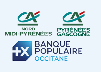 logo banques FRI bleu